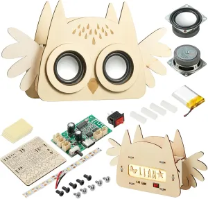 4PCS STEM DIY Bluetooth Speaker Kits Gifts Classroom Biuld Your Own Electronics Building Set Bulk Educational Science Projects for Schools Camps Education for 9 10 11 12 13 14 Year Old