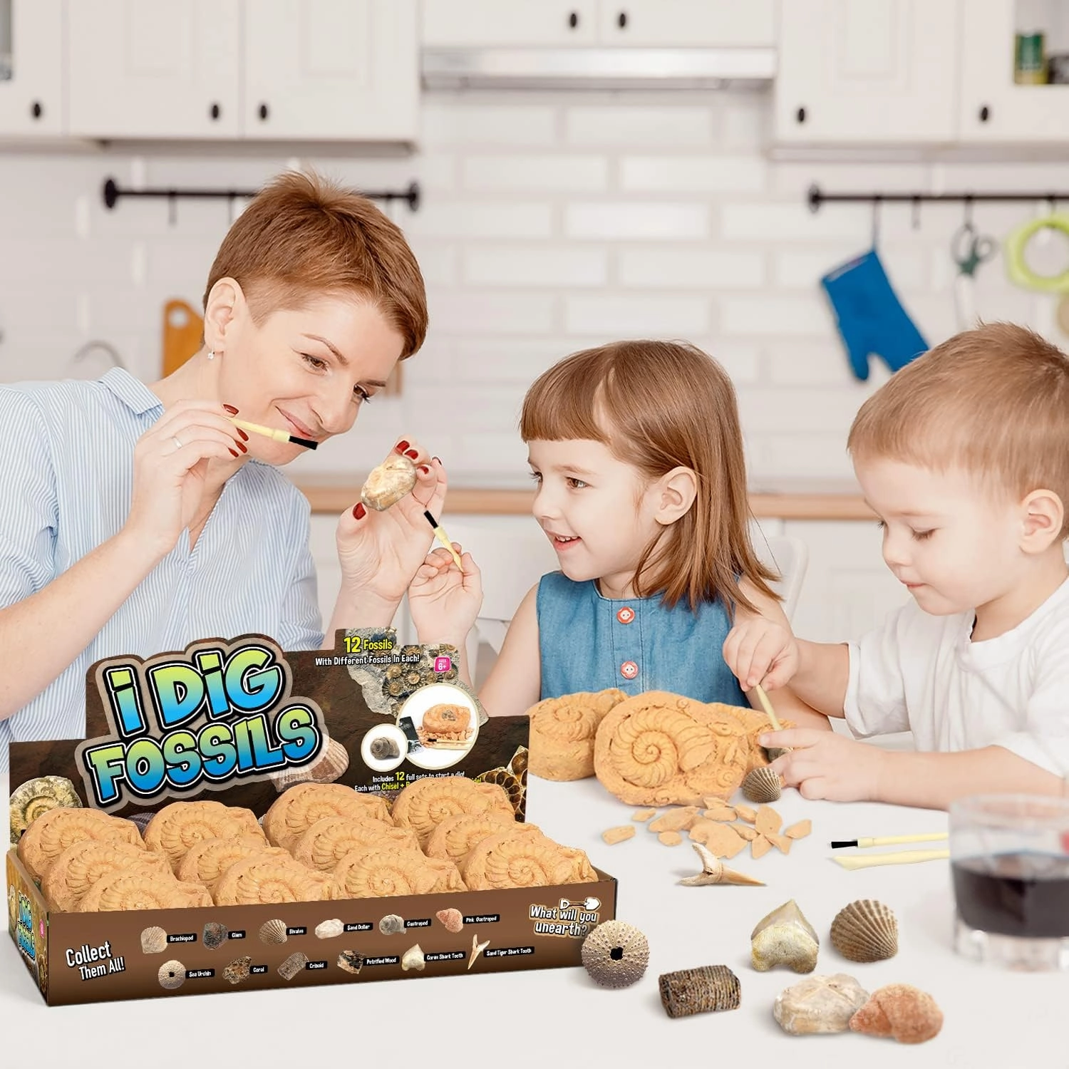 Byncceh Fossil Dig Kit - Educational STEM Science Toys for Kids Ages 6  - Dig Up 12 Fossils Real & Dinosaur Bones Rocks - Digging Activities Kits - Paleontology, Discovery Gifts for Boys & Girls