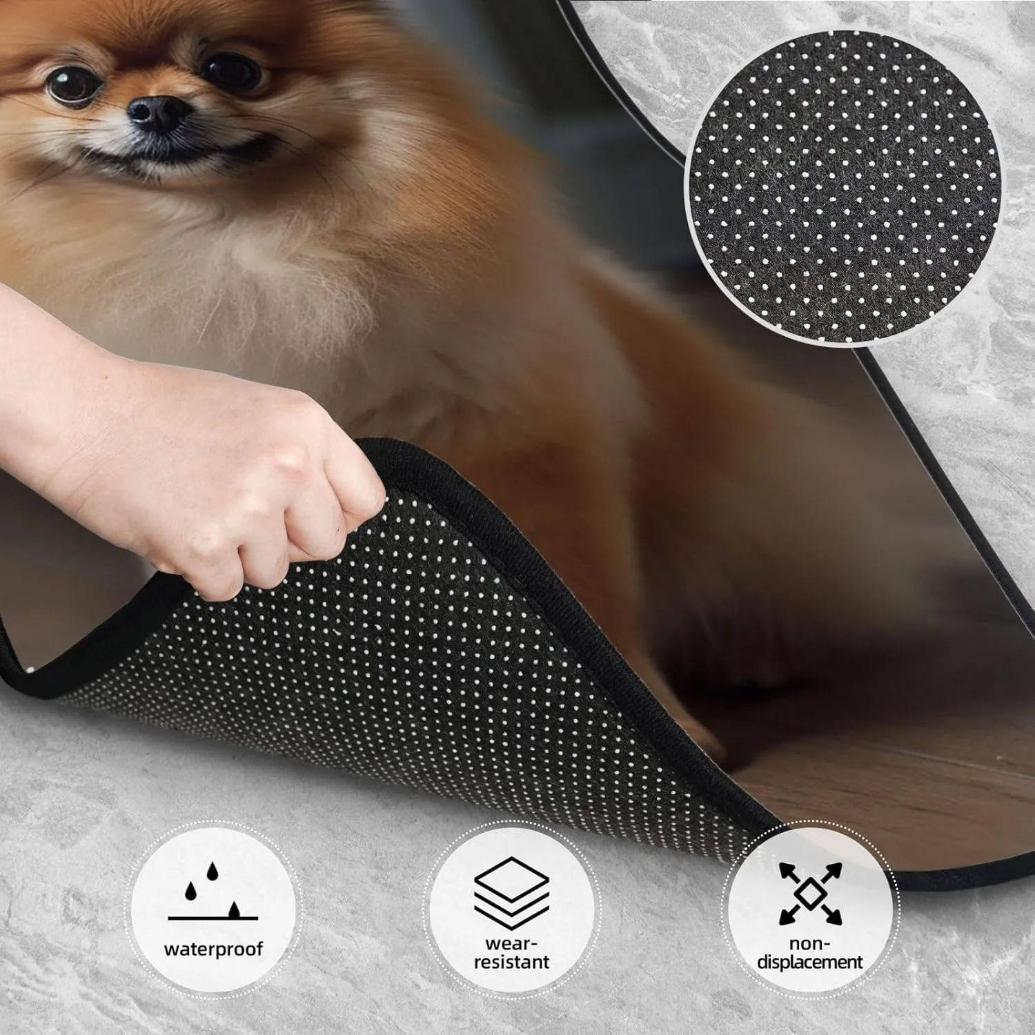 Car Floor Mats All-Weather Front Rear Car Floor Foot Mat Sets of 4 Pieces Universal Car Foot Mat Pomeranian Dog on Wooden Floor Car Mats Non-Slip Automotive Floor Mats for SUV Vans sedans Trucks