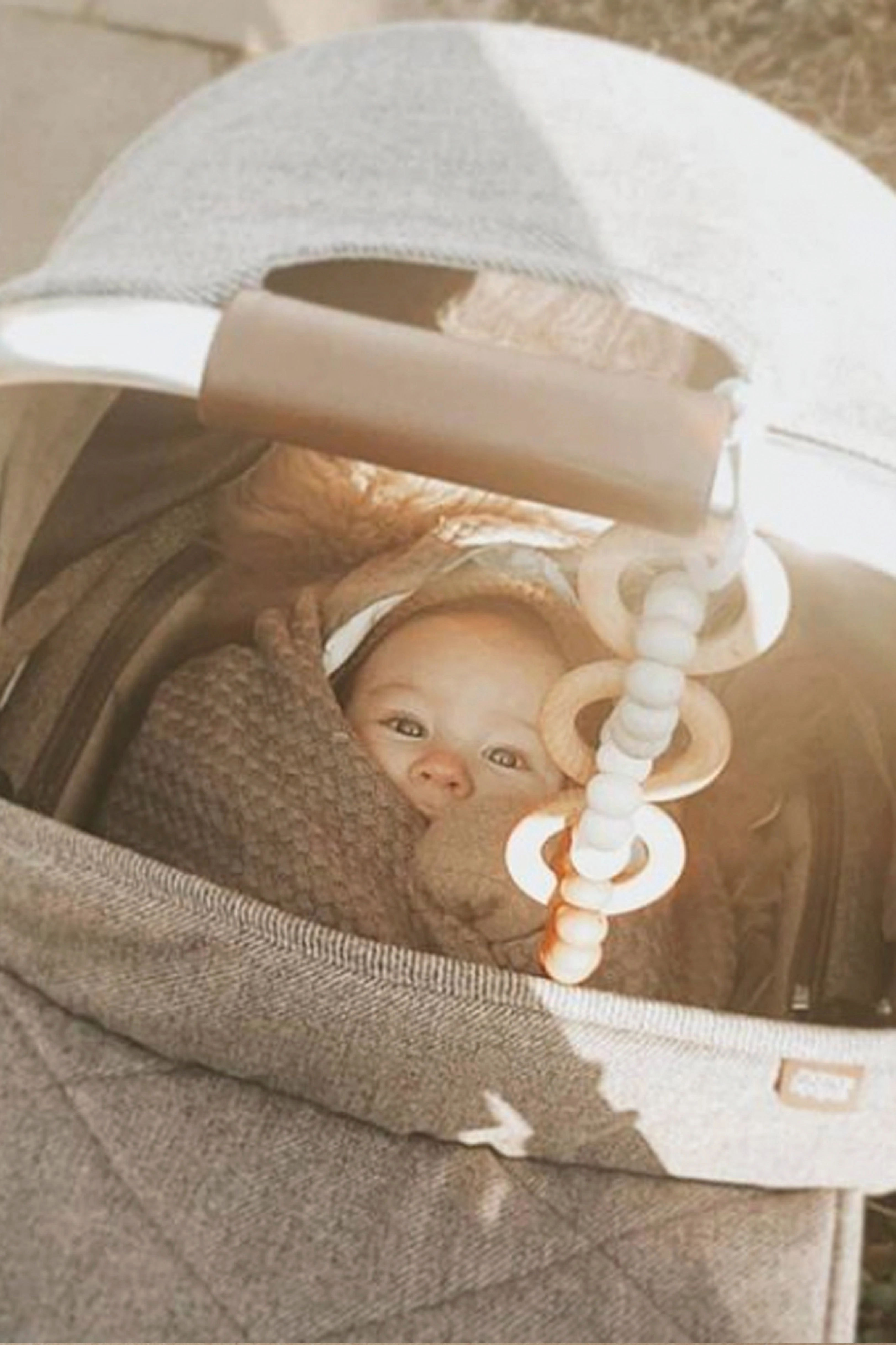 Car Seat Toy - Fin