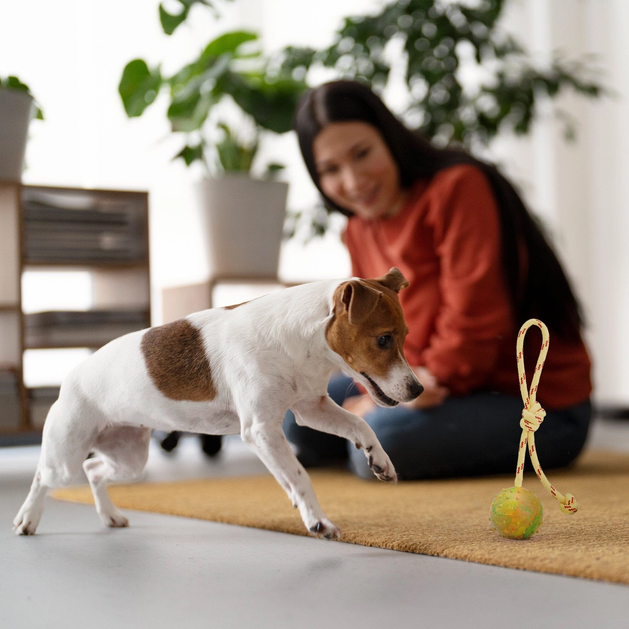 Dogline FDT Rubber Dog Ball on Rope, Medium - Diameter 2.3" (6 cm)