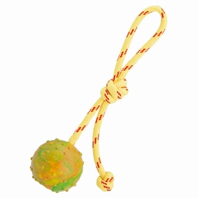 Dogline FDT Rubber Dog Ball on Rope, Medium - Diameter 2.3" (6 cm)