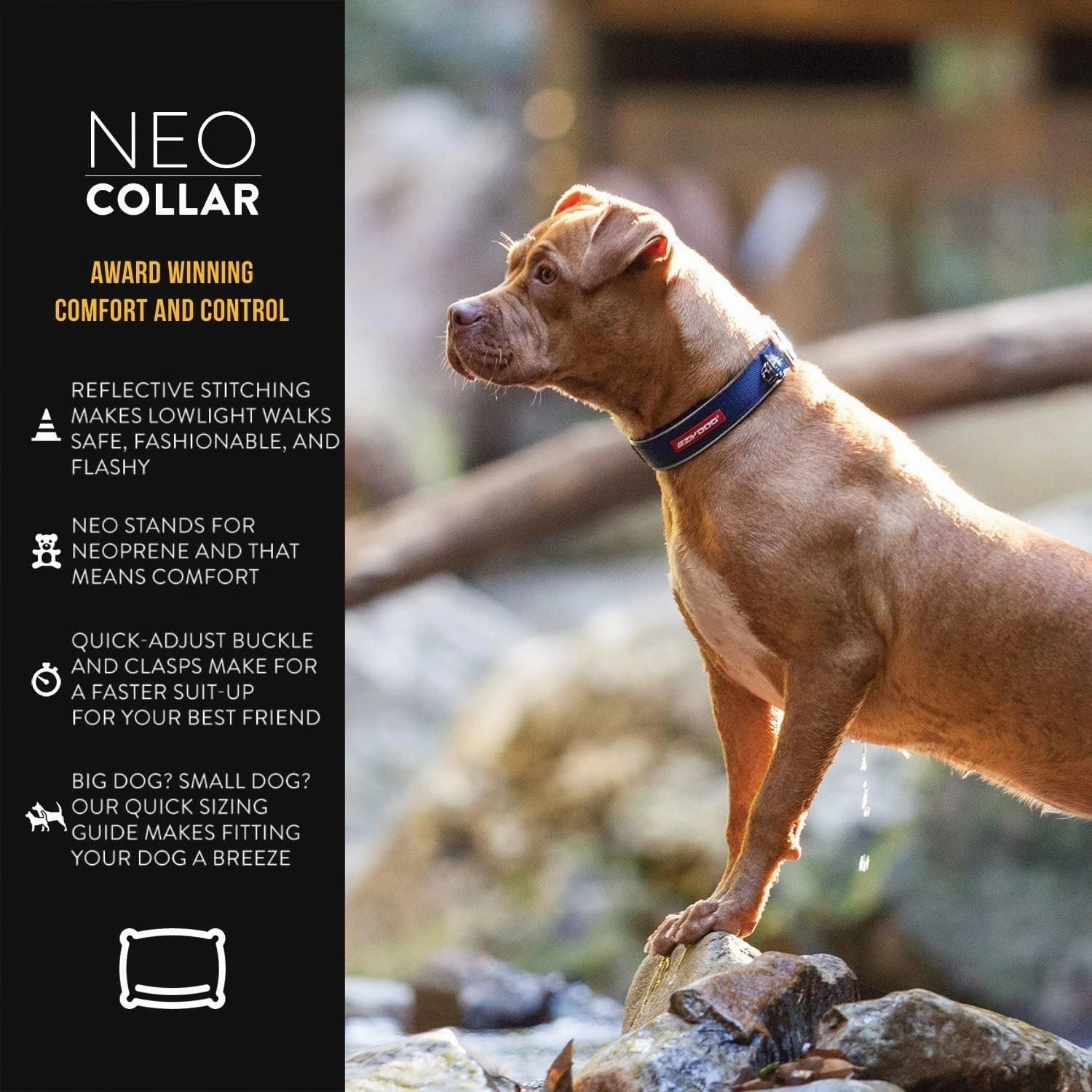 EzyDog Neo Dog Collar - Waterproof & Reflective Dog Collar with Soft Padded Neoprene for Comfort & Durable Nylon – Features Quick Release Buckle and Built-in ID Clip (Medium, Blue)