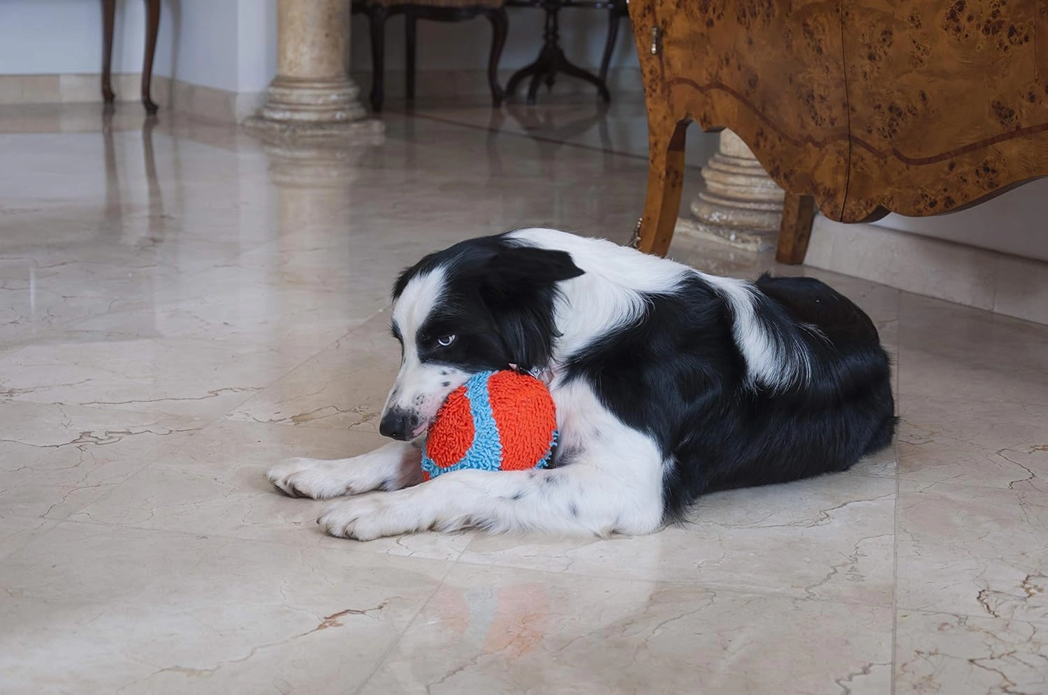 Indoor Fumbler Dog Toy Medium - Orange / Blue