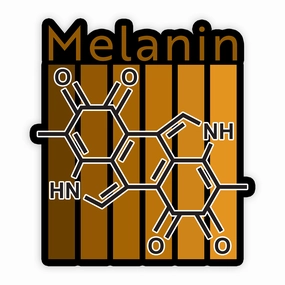 Melanin Molecular Structure - Vinyl Sticker