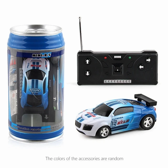Mini RC Car
