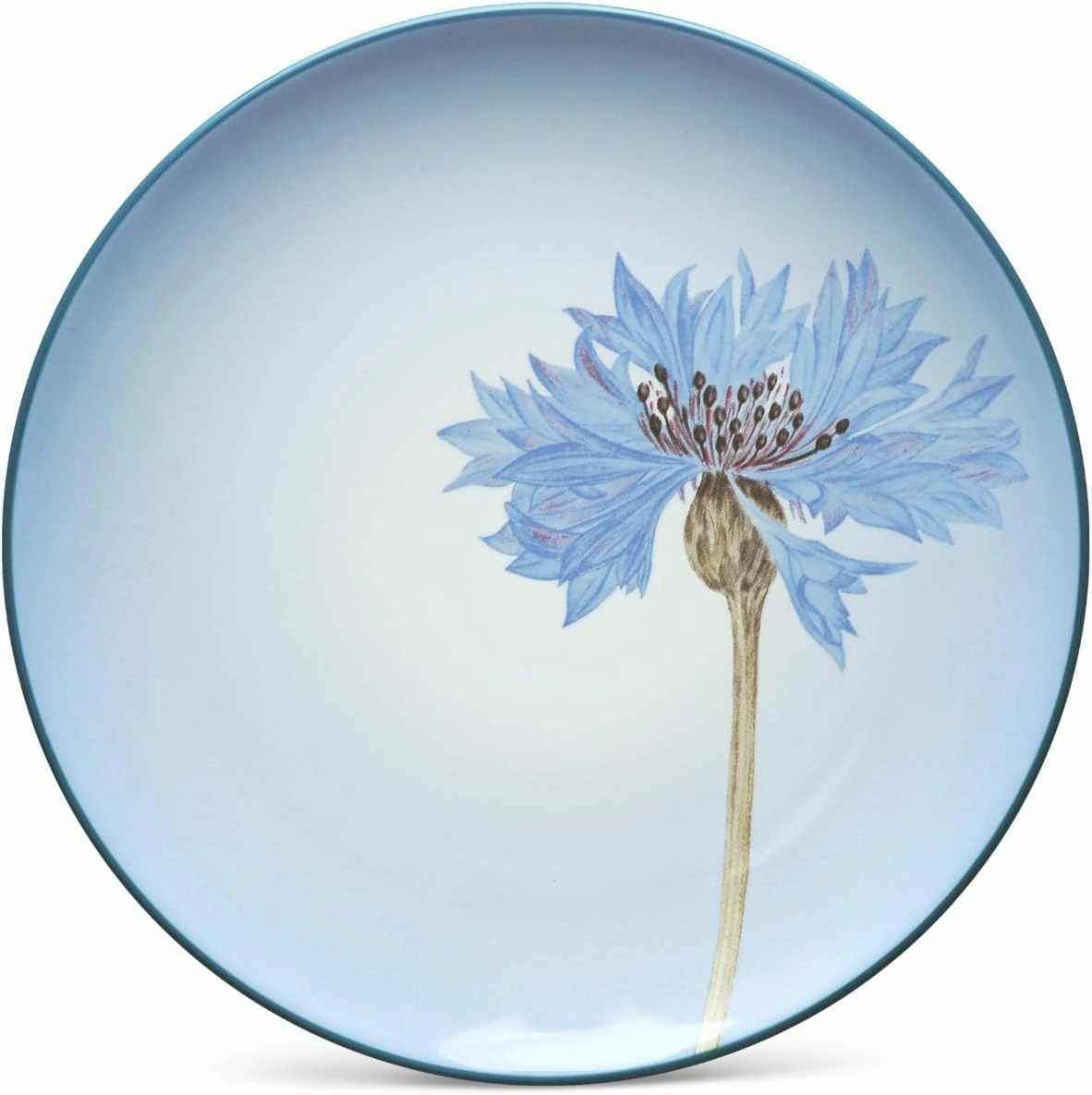 Noritake Colorwave Blue Set of 4 Floral Accent Plates, 8.25"