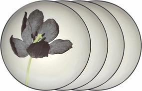 Noritake Colorwave Graphite Floral Set of 4 Accent Plates, 8.25"