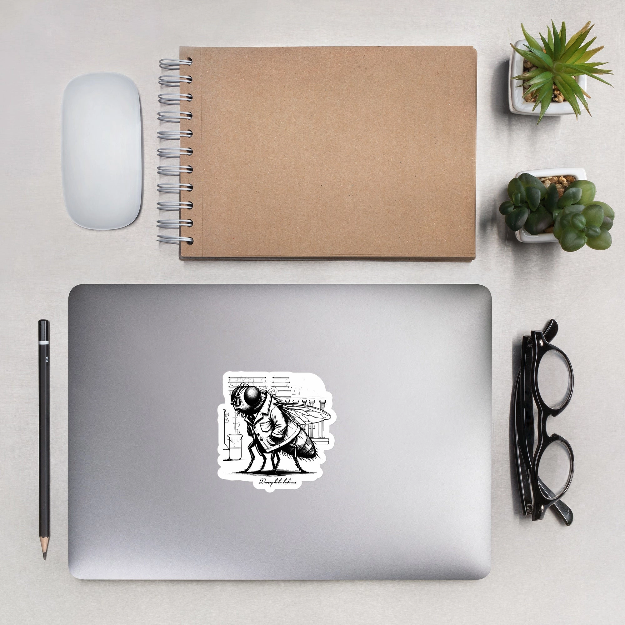 Scientist Fruit Fly (Drosophila labicus) | Stickers