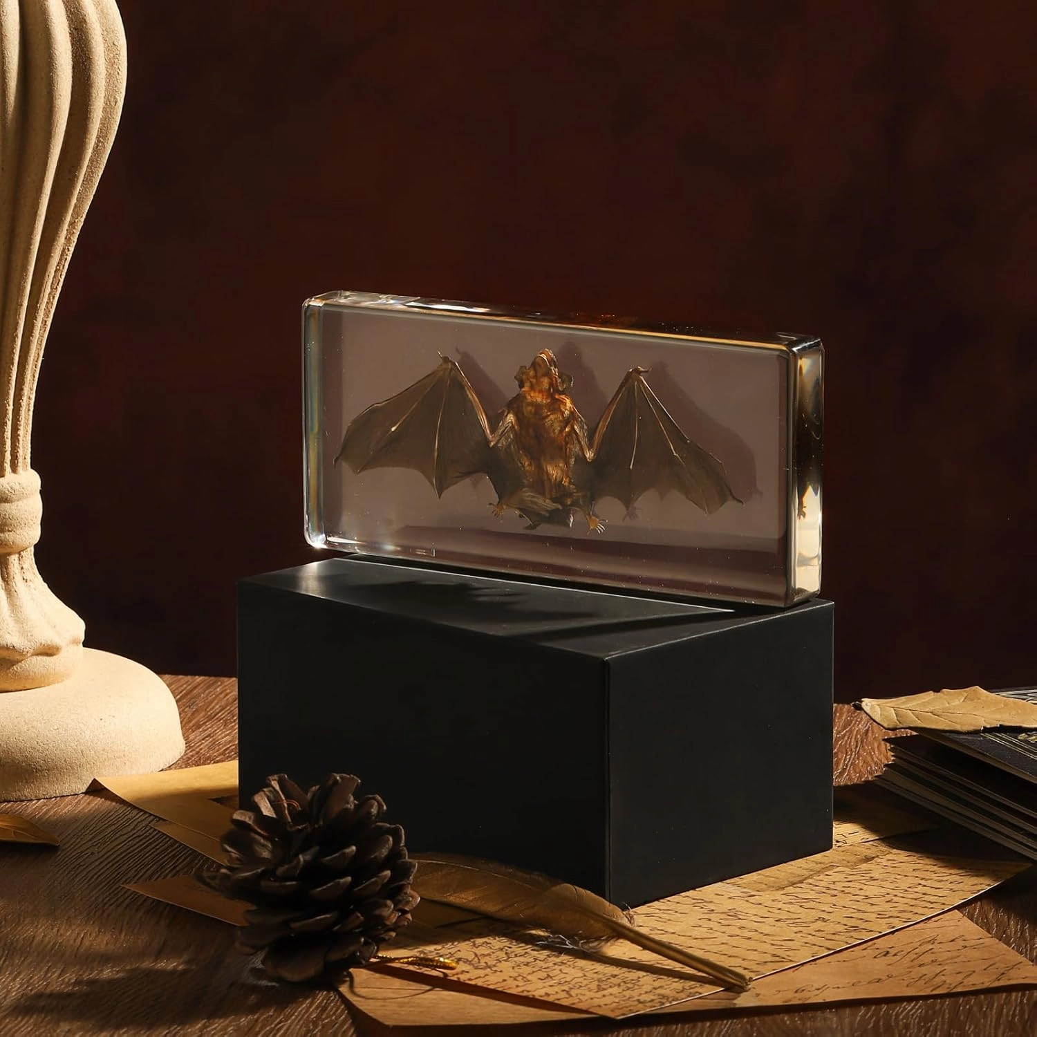 Taxidermy Bat, Real Bat Specimens Animal Specimen in Resin for Science Classroom Science Education, Great Gift for Fans of Taxidermy, Animal Skull, Oddities, Biology(5.5x2.5x0.7 Inch)