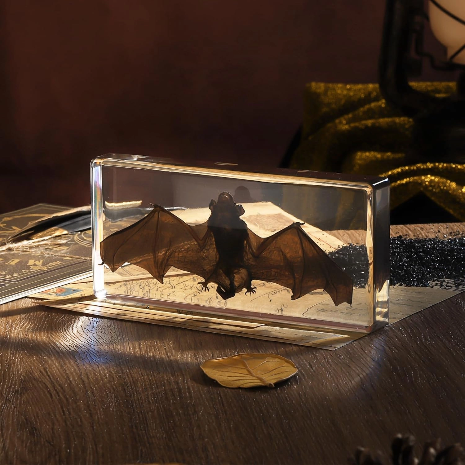 Taxidermy Bat, Real Bat Specimens Animal Specimen in Resin for Science Classroom Science Education, Great Gift for Fans of Taxidermy, Animal Skull, Oddities, Biology(5.5x2.5x0.7 Inch)