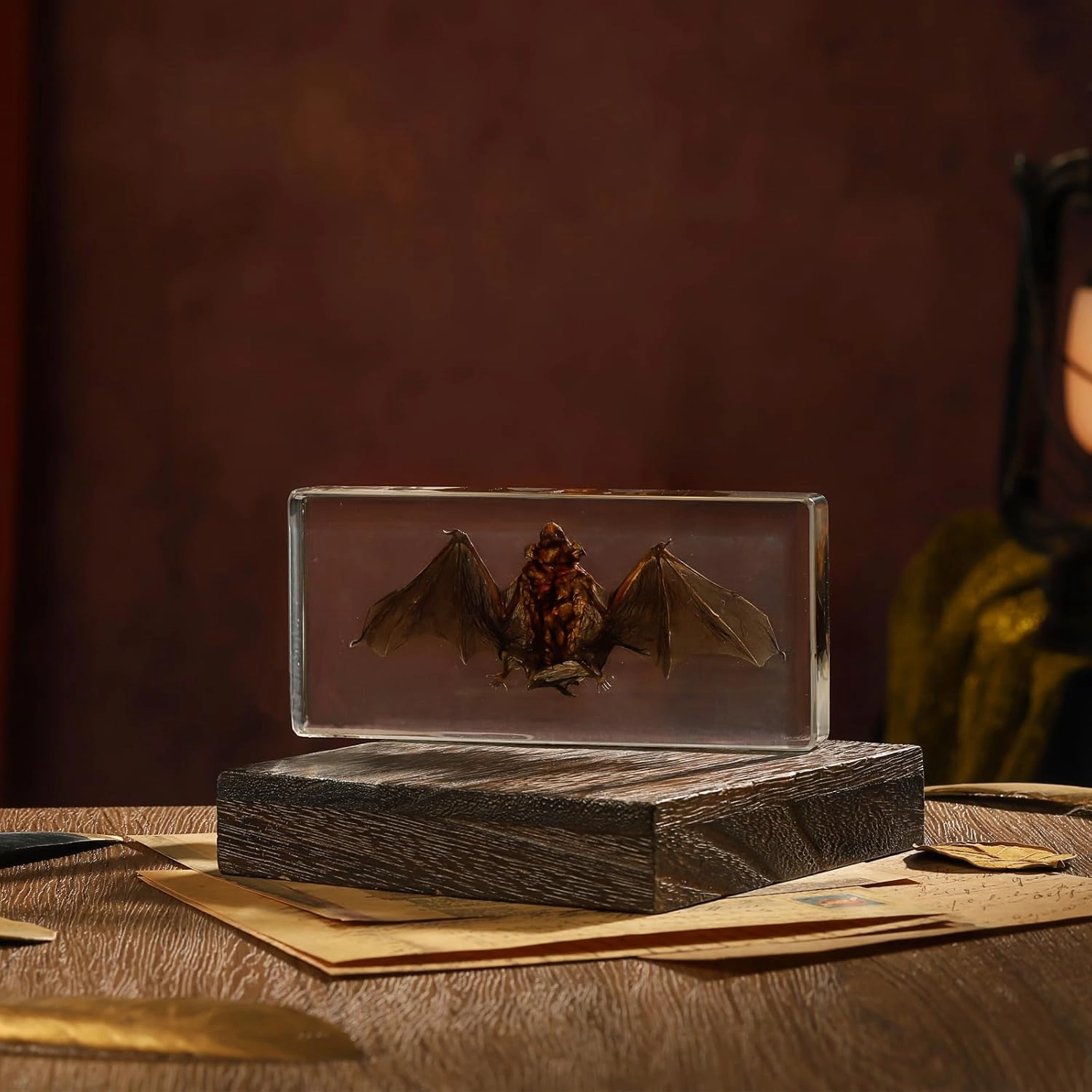 Taxidermy Bat, Real Bat Specimens Animal Specimen in Resin for Science Classroom Science Education, Great Gift for Fans of Taxidermy, Animal Skull, Oddities, Biology(5.5x2.5x0.7 Inch)