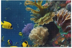 Underwater Fish Coral Jigsaw Puzzle 1000 Piece, Educational Intellectual Decompression Puzzle Game Jigsaw Puzzle for Adult Active Thinking Party Entertainment, Family Games